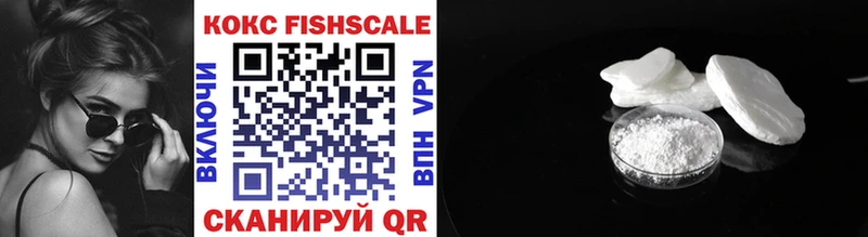 Cocaine FishScale  как найти закладки  Закаменск 