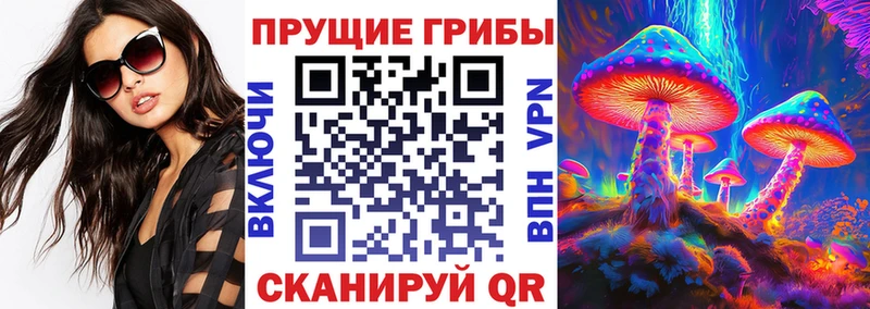 Галлюциногенные грибы Psilocybe  Закаменск 