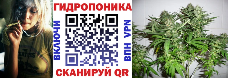 как найти Закаменск Шишки марихуана гибрид